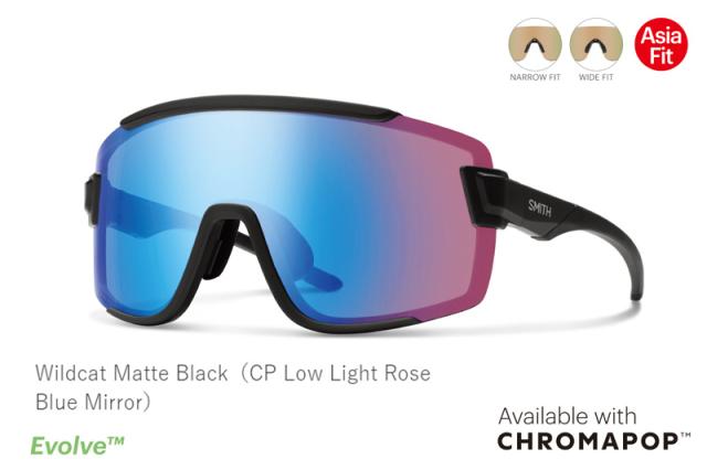 SMITH SUNGLASS [ Wildcat CPレンズタイプ @34000] スミス サングラス