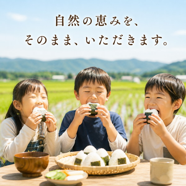 令和7年産 宮城県産 登米産 ひとめぼれ 無洗米 25kg (5kg×5袋) 送料無料 検査一等米 産地直送 デザインポリ袋 小分け仕様 ※沖縄県送料別途3,000円_3
