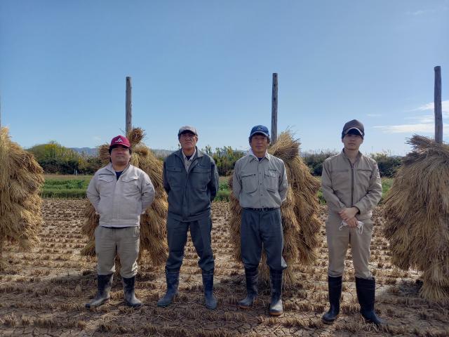 最安値更新！ 令和6年産 【天日干し】宮城県産 ひとめぼれ 玄米 30kg 一等米 希少な天日干し 健康食 未調整玄米 ＊_4