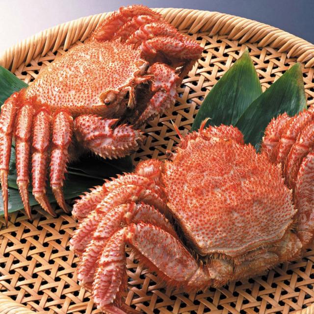 ドライトマト オーガニック ドライフルーツ アリサン 有機ドライトマト