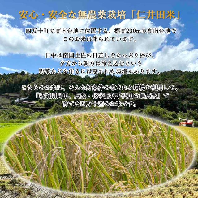 窪川産直 四万十町 有機JAS 仁井田米 米 こめ ひのひかり 5kg 令和7年産 お米 玄米 白米 [ヤマト発送]【北海道沖縄県除き送料無料】コメ しまんと 窪川 高知産 ブランド米 にいだまい 5キロ 国産 国内産 精米 ごはん おにぎり 化学肥料不使用 みよしファーム 産地直送