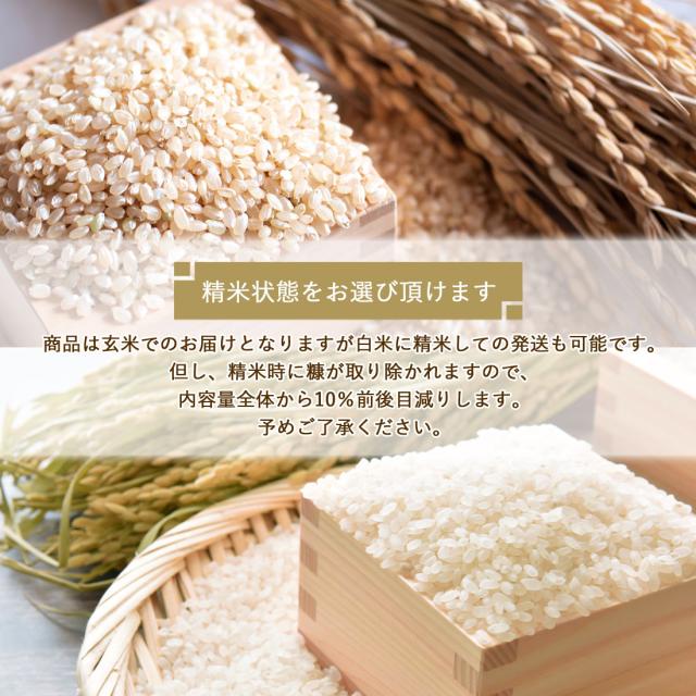 窪川産直 四万十町 有機JAS 仁井田米 米 こめ ひのひかり 5kg 令和7年産 お米 玄米 白米 [ヤマト発送]【北海道沖縄県除き送料無料】コメ しまんと 窪川 高知産 ブランド米 にいだまい 5キロ 国産 国内産 精米 ごはん おにぎり 化学肥料不使用 みよしファーム 産地直送