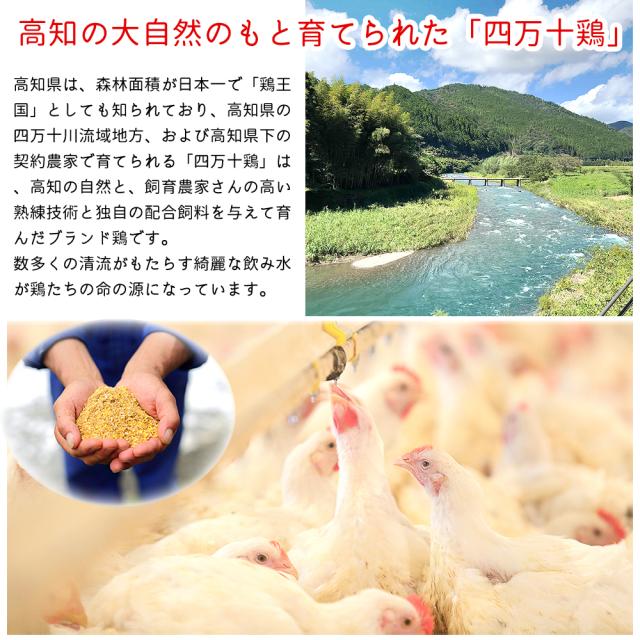 焼き鳥 四万十鶏 オススメ 84本 セット 30g(12本×7種) 鳥肉 四万十鳥 食べ比べ 国産 しまんと鶏 鶏肉 串 串焼き 焼き鳥串 焼鳥 やきとり 高知産 もも肉 むね肉 ささみ 砂肝 鶏皮 ねぎま 手羽串 BBQ 冷凍 [冷凍便] [ヤマト発送]【北海道沖縄県除き送料無料】_3