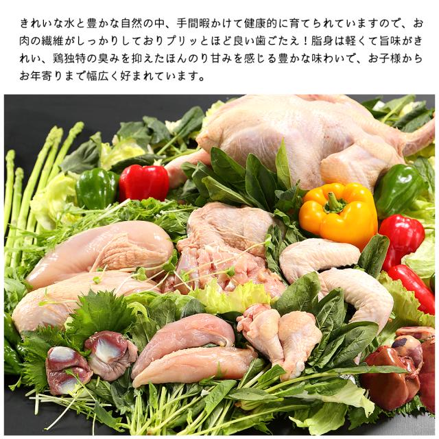焼き鳥 四万十鶏 オススメ 84本 セット 30g(12本×7種) 鳥肉 四万十鳥 食べ比べ 国産 しまんと鶏 鶏肉 串 串焼き 焼き鳥串 焼鳥 やきとり 高知産 もも肉 むね肉 ささみ 砂肝 鶏皮 ねぎま 手羽串 BBQ 冷凍 [冷凍便] [ヤマト発送]【北海道沖縄県除き送料無料】_4