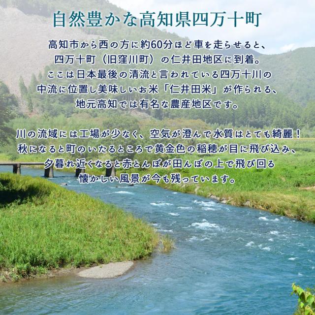 窪川産直 四万十町 有機JAS 仁井田米 米 こめ ひのひかり 5kg 令和7年産 お米 玄米 白米 [ヤマト発送]【北海道沖縄県除き送料無料】コメ しまんと 窪川 高知産 ブランド米 にいだまい 5キロ 国産 国内産 精米 ごはん おにぎり 化学肥料不使用 みよしファーム 産地直送
