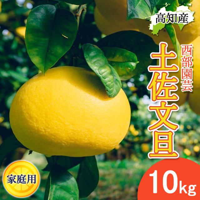 文旦 土佐文旦 家庭用 10kg L〜4Lサイズ 混合 16〜24玉 西部園芸 宿毛 ぶんたん 宿毛市 産地直送 高知産【北海道沖縄県除き送料無料】サイズ混合 10キロ ジューシー まろやか 高知 ブンタン 届いてすぐに食べれる追熟文旦の通販は 5,220円