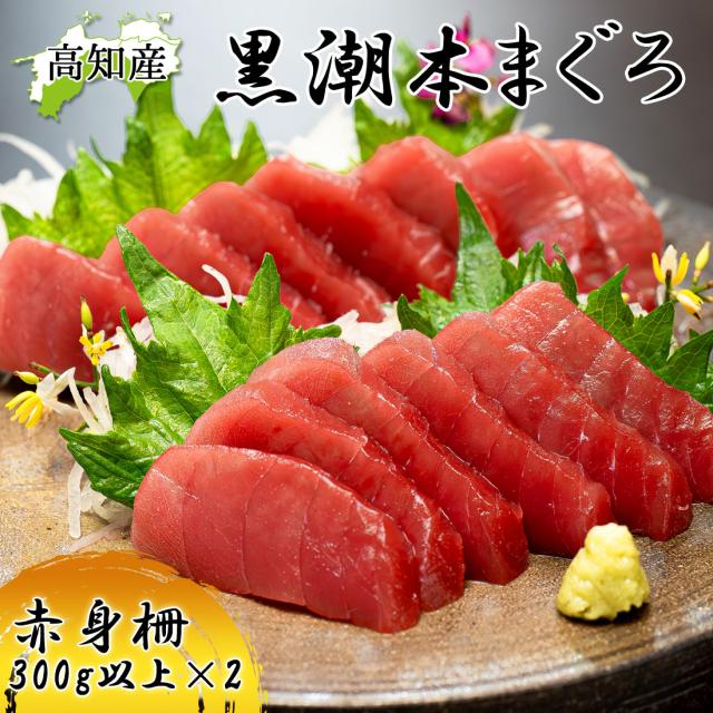 本マグロ 高知県大月町産 赤身 600g(4ブロック) 不定貫 本鮪 [冷凍便] [ヤマト発送]【北海道沖縄県除き送料無料】 プロトン凍結 クロマグロ 黒鮪 養殖 黒潮 本まぐろ 大月 鮮魚 冷凍マグロ 高知産 直送 切り身 まぐろ丼 刺身 父の日 ギフト お祝い プレゼント 高級グルメ