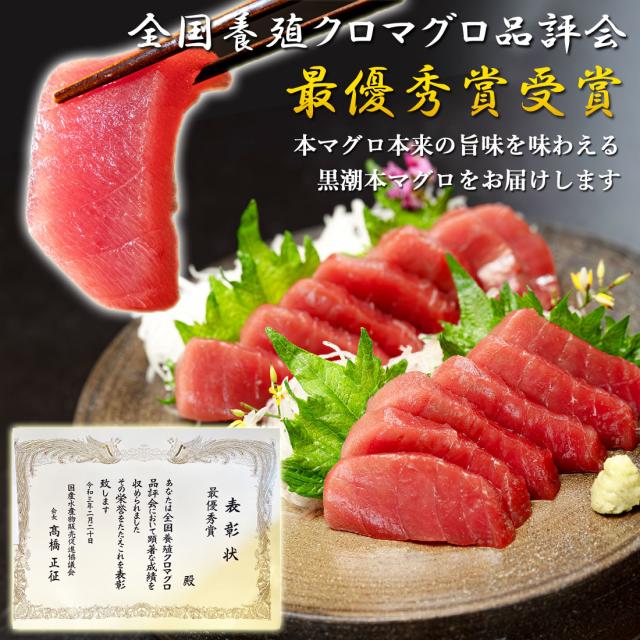 本マグロ 高知県大月町産 赤身 600g(4ブロック) 不定貫 本鮪 [冷凍便] [ヤマト発送]【北海道沖縄県除き送料無料】 プロトン凍結 クロマグロ 黒鮪 養殖 黒潮 本まぐろ 大月 鮮魚 冷凍マグロ 高知産 直送 切り身 まぐろ丼 刺身 父の日 ギフト お祝い プレゼント 高級グルメ_2