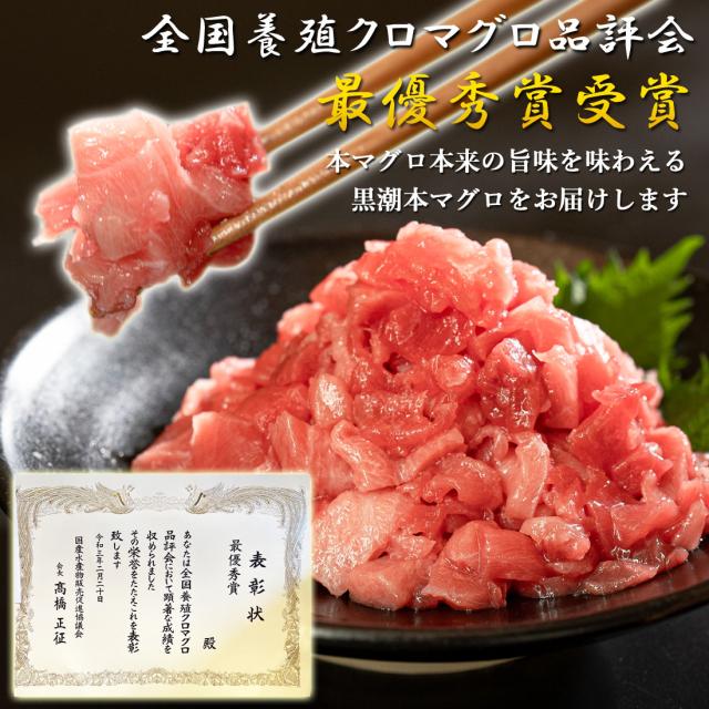本マグロ ぶつ切り 高知県大月町産 300g×4 本鮪 [冷凍便] [ヤマト発送]【北海道沖縄県除き送料無料】 プロトン凍結 クロマグロ 黒鮪 養殖 黒潮 本まぐろ 大月 鮮魚 冷凍マグロ 高知産 直送 赤身 トロ まぐろ丼 海鮮丼 父の日 ギフト お祝い プレゼント 高級グルメ_2