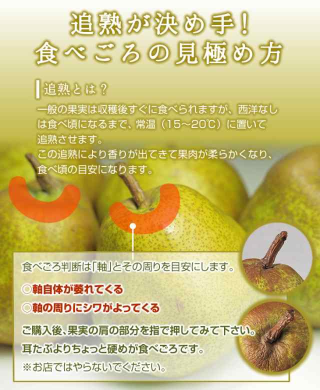 山形県産 ラフランス 訳あり 20kg訳ありの理由は小さい為です - 果物