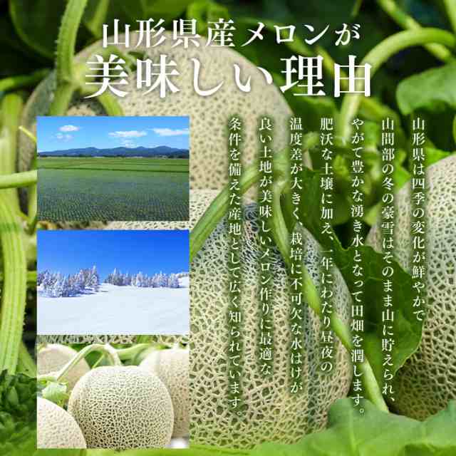 早期予約 贈答用 山形県産タカミメロン約2kg 2玉 3l 4lサイズ 一部地域は別途送料追加 Mr06の通販はau Pay マーケット ジェイエイてんどうフーズ