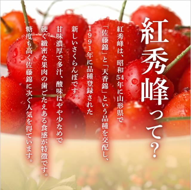 ジェイエイてんどうフーズ お中元 ギフト さくらんぼ 送料無料 山形県産紅秀峰 約500gパック×2・Lサイズ以上※一部地域は別途送料追加 rc22_2