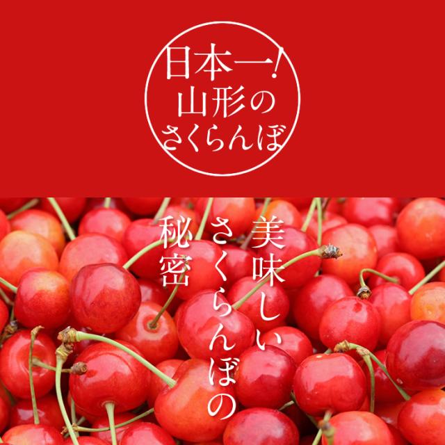 さくらんぼ　てんたかく jatendo_001254_sub.jpg