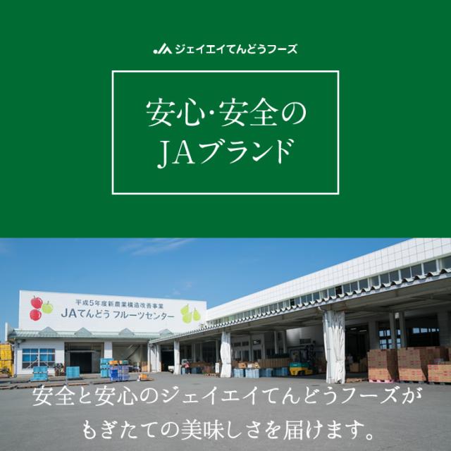 ジェイエイてんどうフーズ お中元 ギフト さくらんぼ 送料無料 山形県産紅秀峰 約500gパック×2・Lサイズ以上※一部地域は別途送料追加 rc22_12