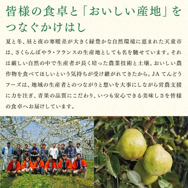 ジェイエイてんどうフーズ お中元 ギフト さくらんぼ 送料無料 山形県産紅秀峰 約500gパック×2・Lサイズ以上※一部地域は別途送料追加 rc22_14