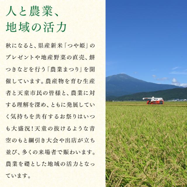 ジェイエイてんどうフーズ お中元 ギフト さくらんぼ 送料無料 山形県産紅秀峰 約500gパック×2・Lサイズ以上※一部地域は別途送料追加 rc22_15