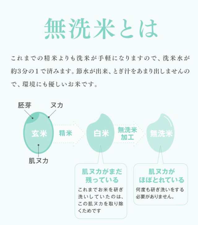 新米 お米 令和4年 山形県産 はえぬき 無洗米 10kg（5kg×2袋） 時短 rhm1004の通販はau PAY マーケット -  ジェイエイてんどうフーズ