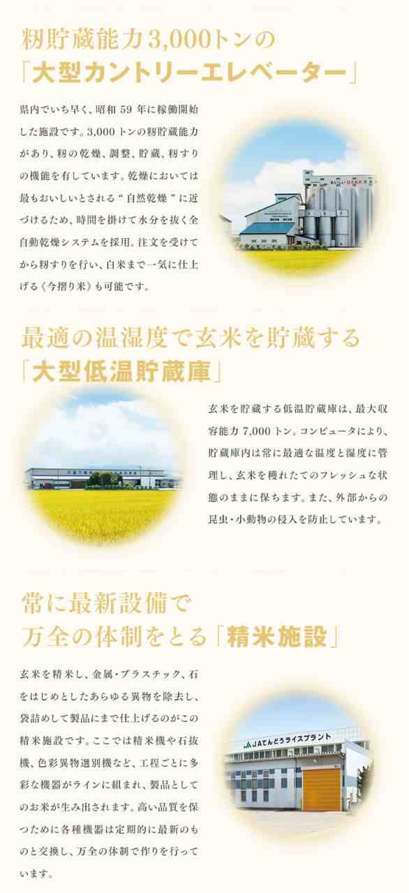 新米 お米 令和4年 山形県産 はえぬき 無洗米 10kg（5kg×2袋） 時短 rhm1004の通販はau PAY マーケット -  ジェイエイてんどうフーズ