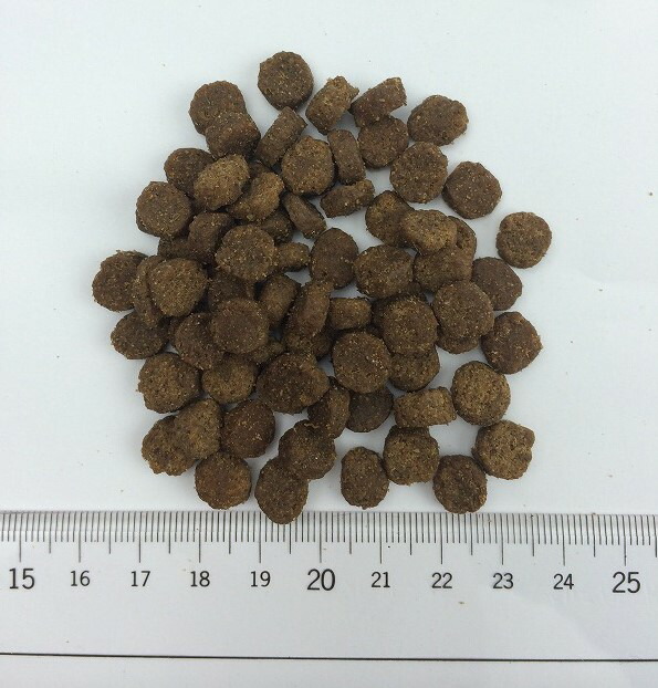 ファーストメイトドッグフード　チキン ウィズ　ブルーベリー スモールバイツ （小粒) 5.44kg おやつのプレゼント付き【ドッグフード】【正規品】_1