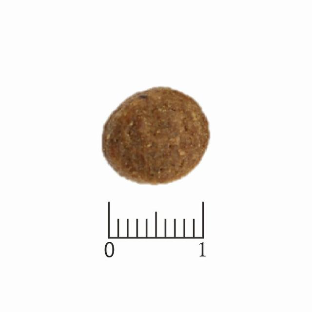 VetSolution 犬用 胃腸サポート 3kg【ベッツソリューション】【犬用療法食】【正規品】_1