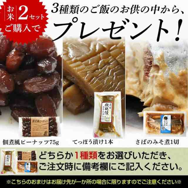 特売！ 24.5kg 令和5年産 新米 ふさこがね 千葉県の美味しい減農薬米-