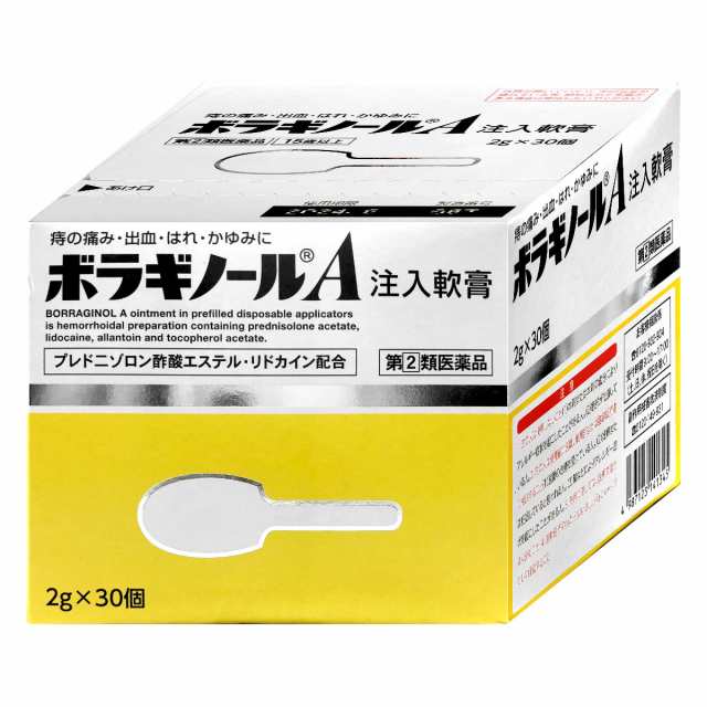 天藤製薬 ボラギノールA注入軟膏 2g×30個 ☆ - 痔