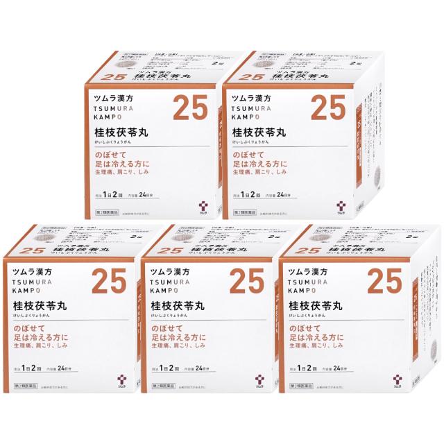 【6周年記念 最大40％還元】【第2類医薬品】[セット]ツムラ漢方 桂枝茯苓丸料エキス顆粒 48包 5個セット[ツムラ][送料無料](6045867-set3)_1