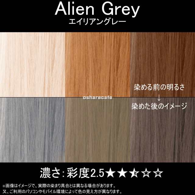 マニックパニック Mc Alien Grey エイリアングレー Manic Panic ヘアカラー 沖縄は送料無料対象外 の通販はau Pay マーケット おしゃれcafe