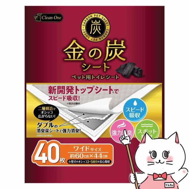 シーズイシハラ 金の炭シート ワイドサイズ 40枚[happiest][送料無料]