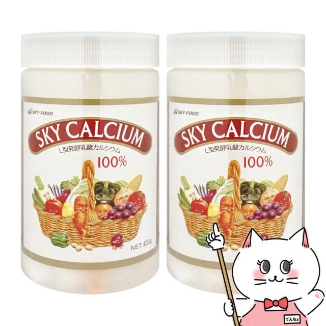 [2個セット]スカイフード スカイカルシウム顆粒 400g×2個[乳酸カルシウム L型乳酸菌 植物由来 サプリメント 乳酸菌][送料無料] (6043640-set1)