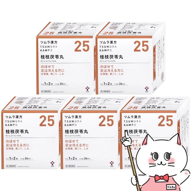 【6周年記念 最大40％還元】【第2類医薬品】[セット]ツムラ漢方 桂枝茯苓丸料エキス顆粒 48包 5個セット[ツムラ][送料無料](6045867-set3)