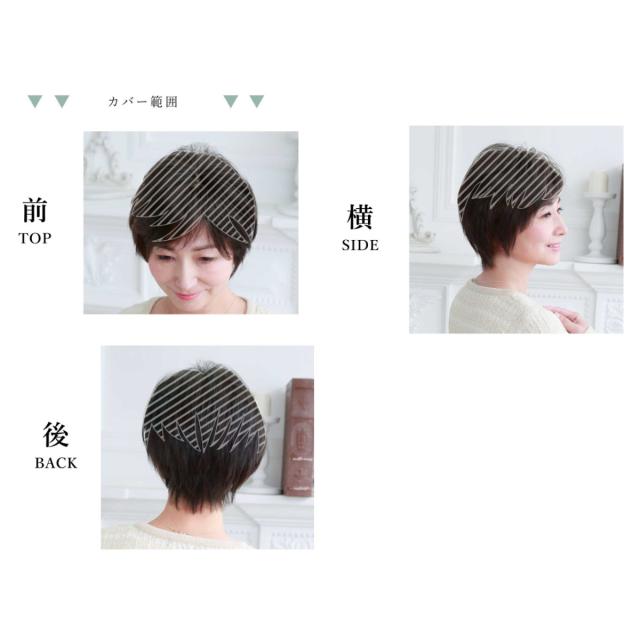プリシラ 白髪かくしウィッグつむじタイプ お 得 な 通販 サイト