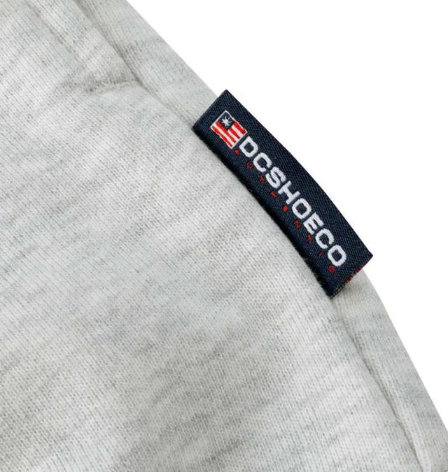 大きいサイズ DCSHOES 24 DRIP BIGSTAR プルパーカー グレー 3L 4L 5L 6L/1278-4621-1-128
