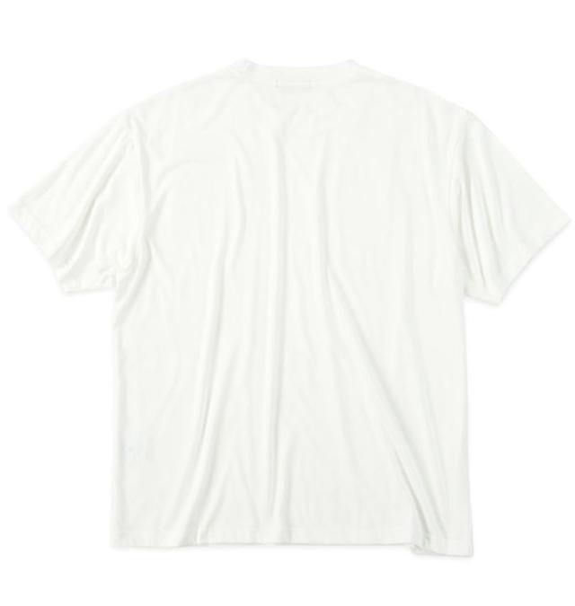 大きいサイズ COLLINS ふくれジャガード トッパー 七分袖 カーディガン+天竺 半袖 Tシャツ セット マスタード×ホワイト 3L 4L 5L 6L 8L/1258-5301-3-79