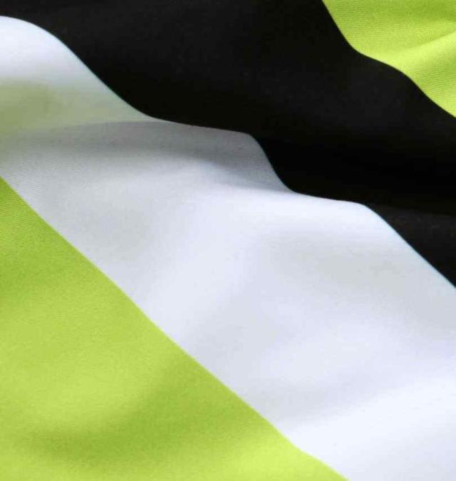 大きいサイズ RUSTY マイクロツイルサーフパンツ レモン 3L 4L 5L 6L 8L/1274-3256-2-79