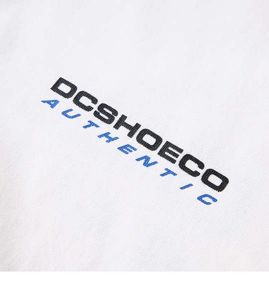 大きいサイズ DCSHOES 23AUTHENTIC OBLIQUE LOGO 長袖Tシャツ ホワイト 3L 4L 5L 6L/1278-3630-1-79