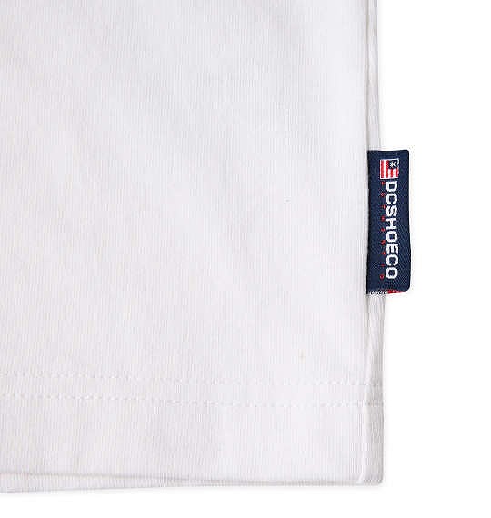 大きいサイズ DCSHOES 23AUTHENTIC OBLIQUE LOGO 長袖Tシャツ ホワイト 3L 4L 5L 6L/1278-3630-1-79