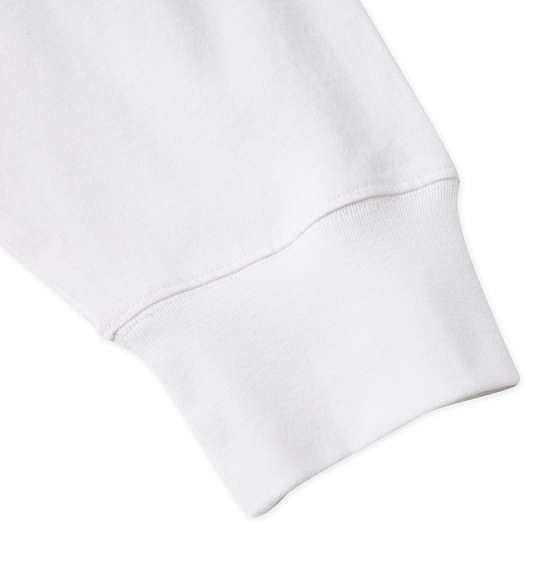 大きいサイズ DCSHOES 23AUTHENTIC OBLIQUE LOGO 長袖Tシャツ ホワイト 3L 4L 5L 6L/1278-3630-1-79