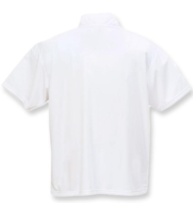 大きいサイズ LE COQ SPORTIF エコペット ハーフジップ 半袖シャツ ホワイト 3L 4L 5L 6L/1278-5261-1-79