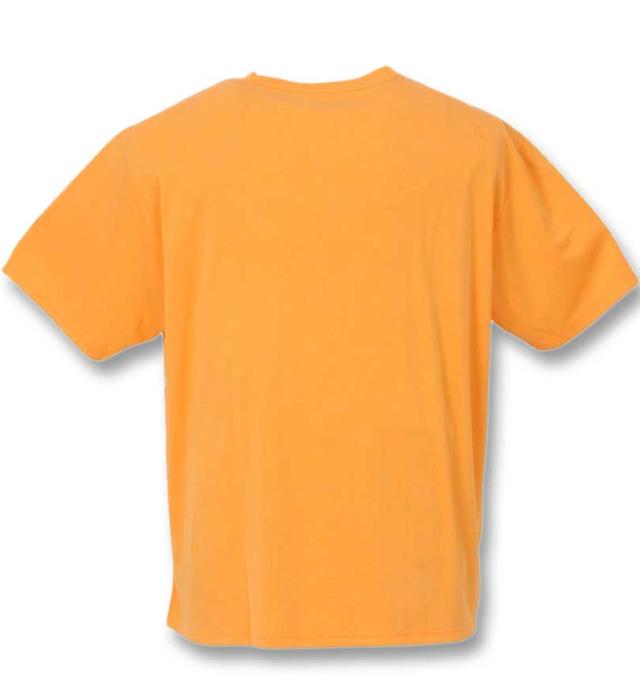 大きいサイズ LE COQ SPORTIF 杢スムースグラフィックプラクティス半袖Tシャツ オレンジ 3L 4L 5L 6L/1278-3260-3-89