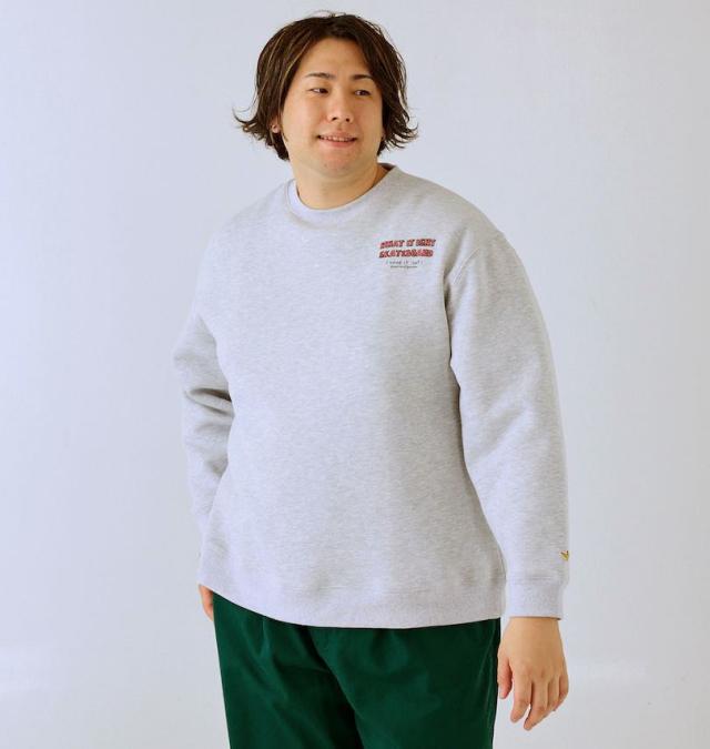 大きいサイズ (What it isNt) CVC 裏起毛 クルーネック トレーナー モクグレー 3L 4L 5L 6L 8L/1278-4696-1-98