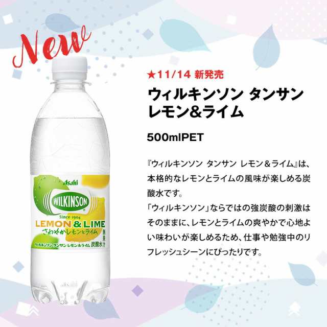 ふるさと納税 炭酸水 ウィルキンソン タンサン PET1L×1箱(12本入) 定期