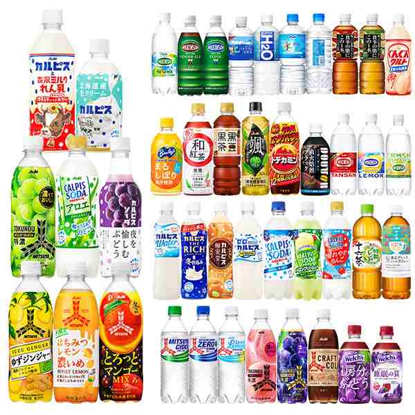 アサヒ飲料 カルピス 極実堂 あんず ペットボトル 500ml×2ケース 48本 - 酒