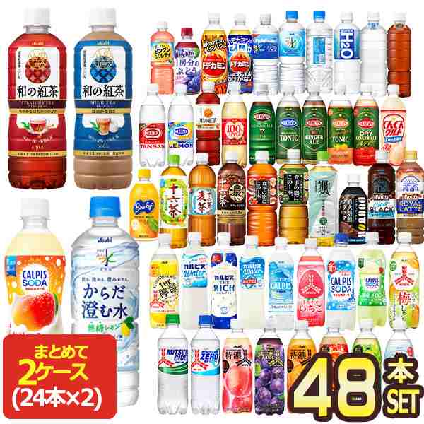 アサヒ飲料 人気ペットボトル飲料 24本×2ケースセット 選り取り