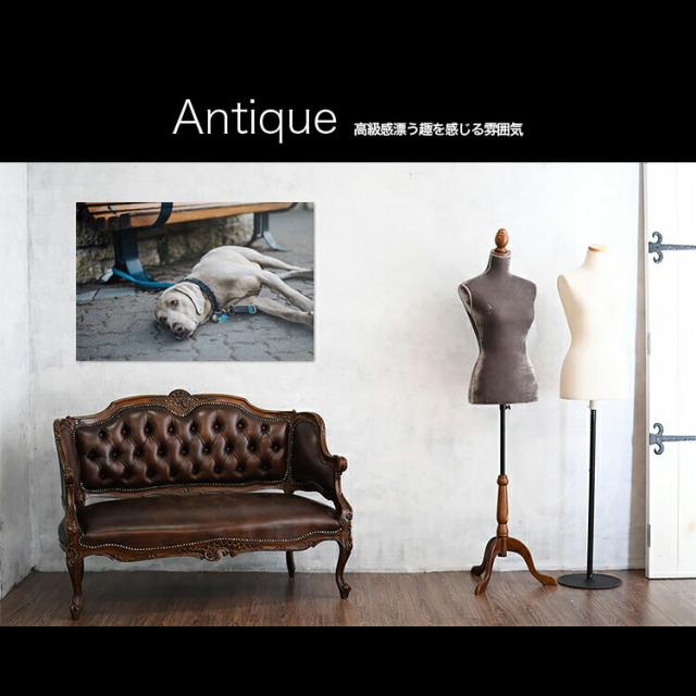 【日本製】アートボード/アートパネル artmart アートマート 絵画や写真をアルミフレームで表現 動物_犬_itk-1066