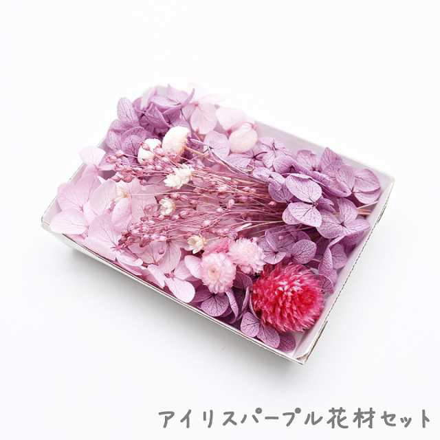 281円 セール 登場から人気沸騰 ドライフラワー デコパーツ 51.押し花〜ガーデン〜 花