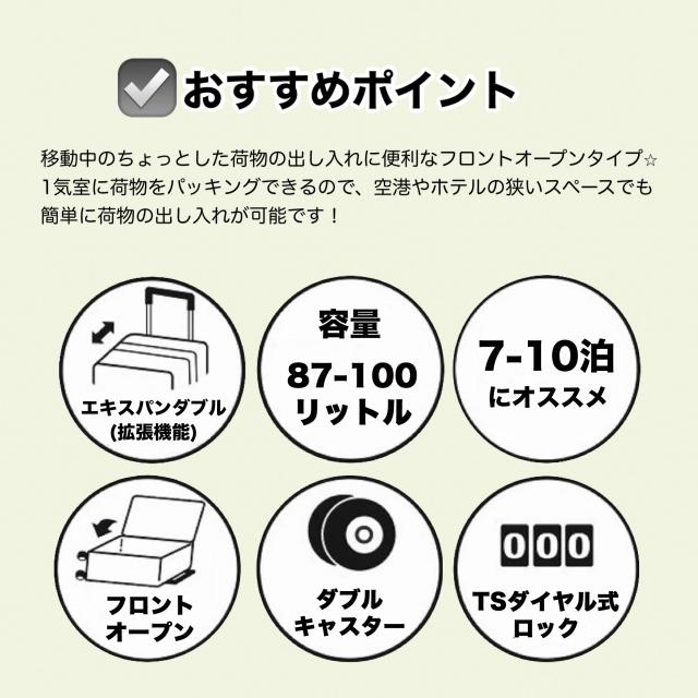 【商品レビューで+5%】エース ACE スーツケース 87L 100L キャリーケース メンズ Lサイズ TSロック 双輪キャスター 7泊8日 8泊 9日 10泊 1週間以上 エキスパンダブル 拡張 人気 旅行 トラベル キャリーバッグ 国内旅行 海外旅行 修学旅行 出張 レディース 05653_3