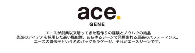【商品レビューで+5％】エースジーン ace.GENE PC 2気室 ビジカジ 出張 キャリーオン 2WAY ブリーフケース 16L ACE ガジェタブルCB2 バックパック デイパック ビジネスリュック ビジネスバックパック B4 撥水 シンプル リクルート フレッシャーズ 通学 旅行 通勤 正規品 20024_1