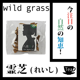 業務用価格！霊芝1000g 今注目の自然の知恵！送料無料 OM 健康 ノンカフェイン レイシ茶1キロの通販は