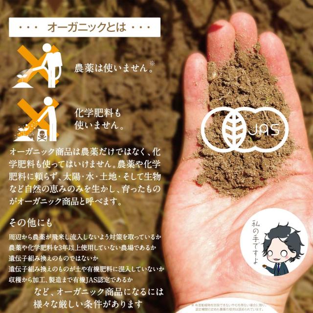 ルイボスティー オーガニック 2000g(2g×1000包) ティーパック バッグ 水出し 送料無料 オーガニックルイボスティー 妊婦さんにおすすめ_1